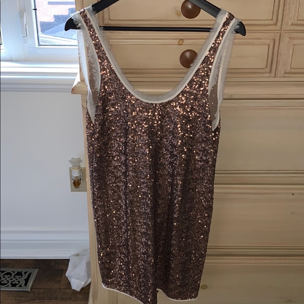 Aritzia dress barely worn